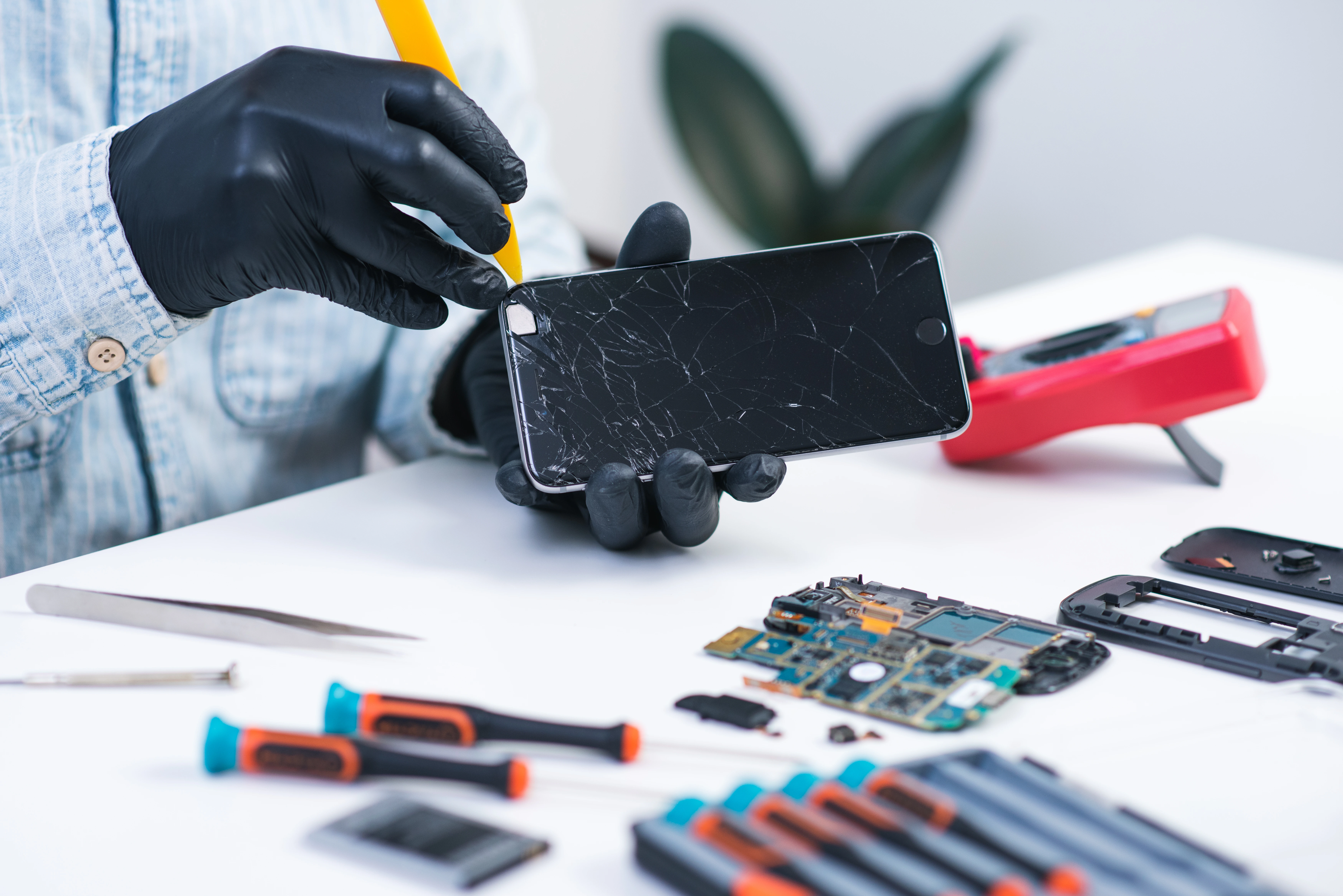 Screen Replacement Services